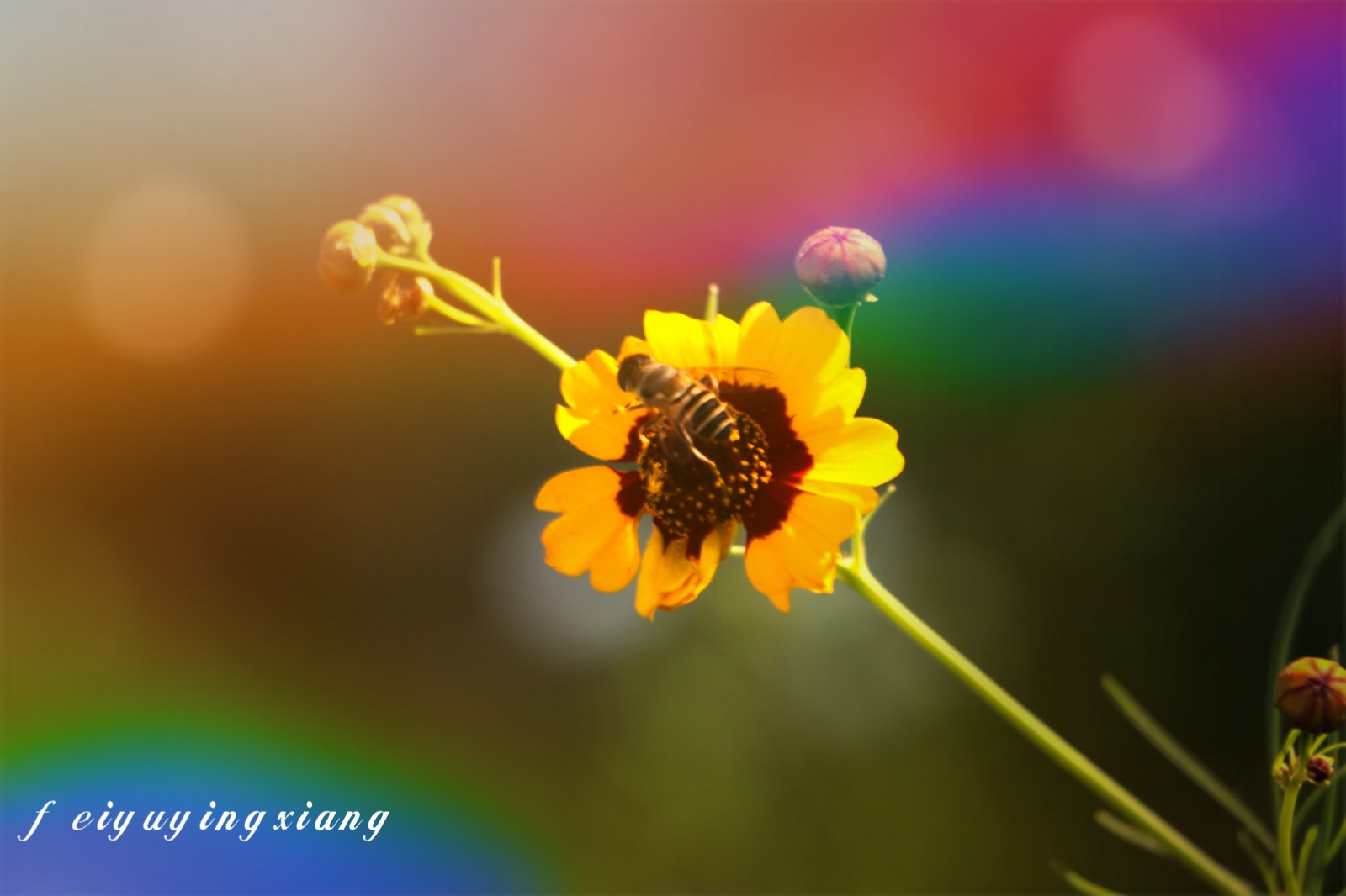 2015-06-16-10-30-11.jpg