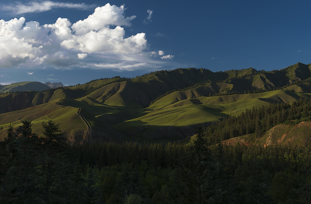 _DSC9131.jpg
