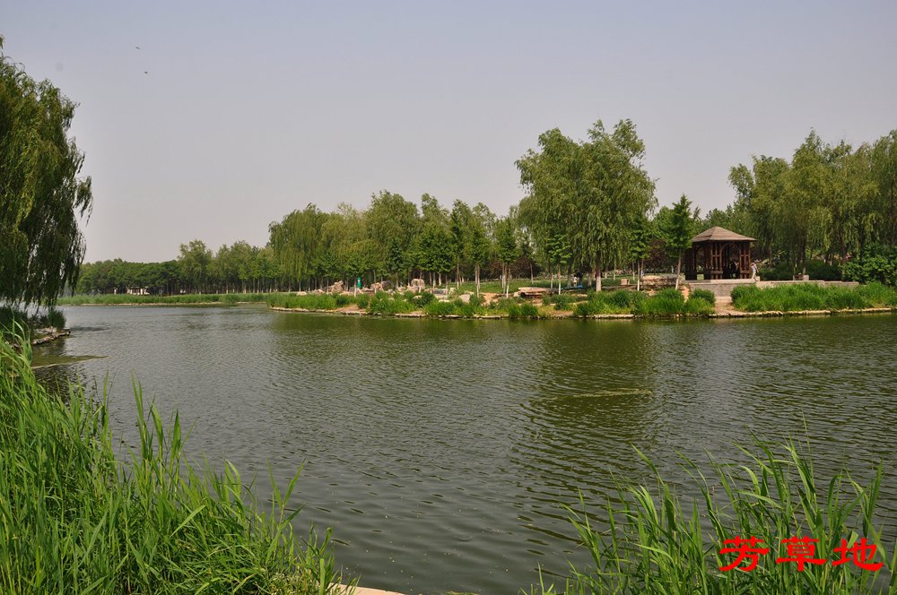 DSC_0191_副本.jpg