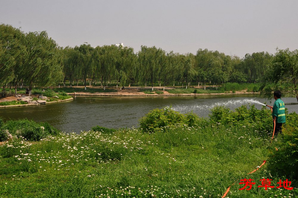 1=DSC_0193_副本.jpg