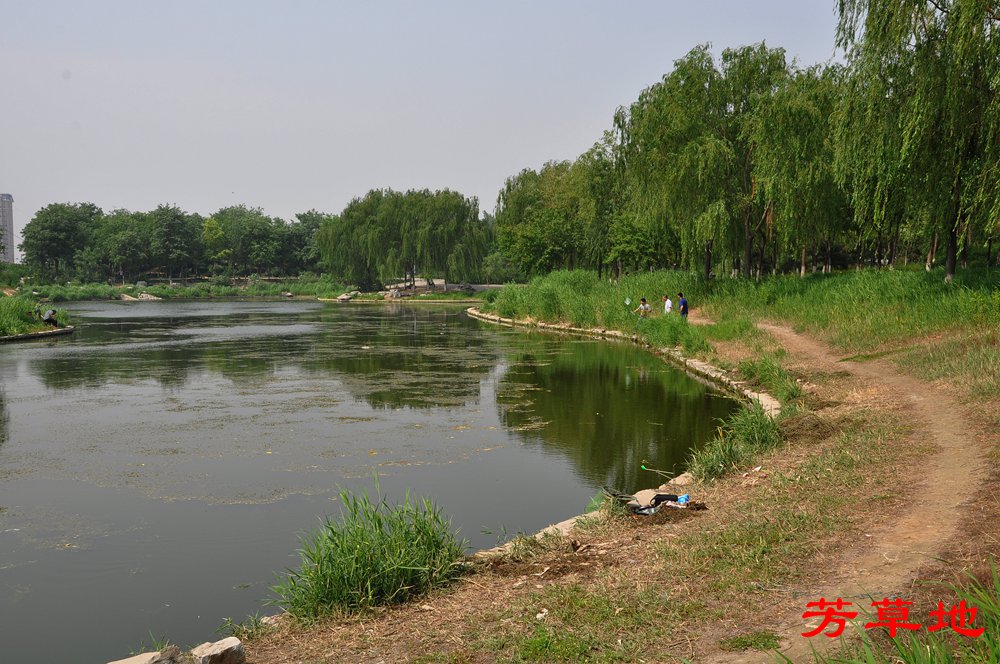 DSC_0196_副本.jpg