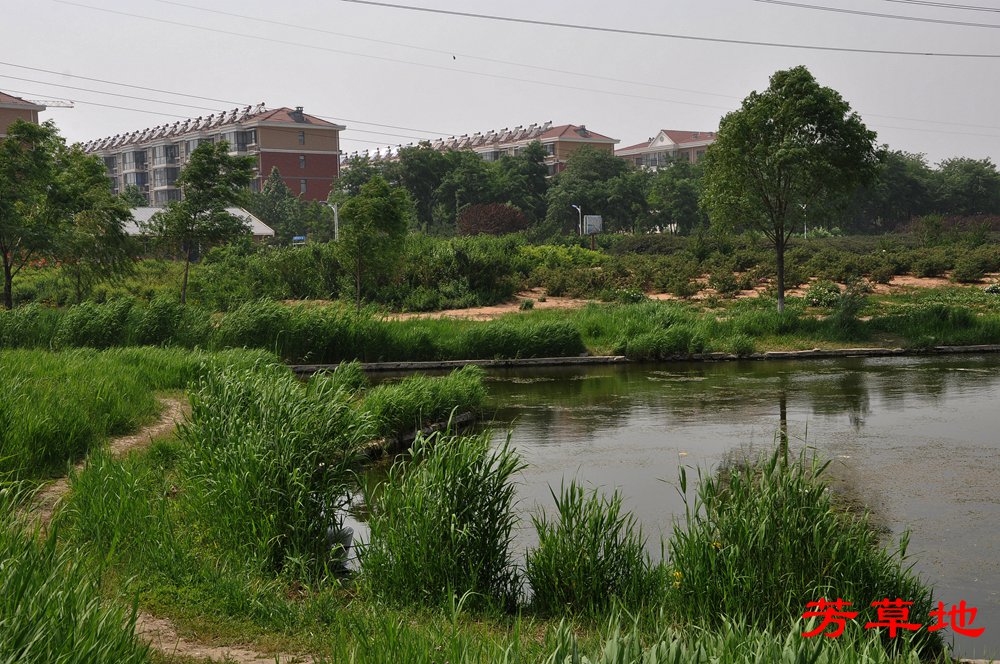 DSC_0195_副本.jpg
