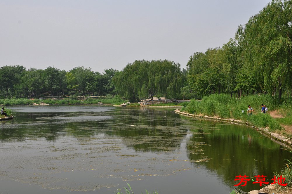 DSC_0197_副本.jpg