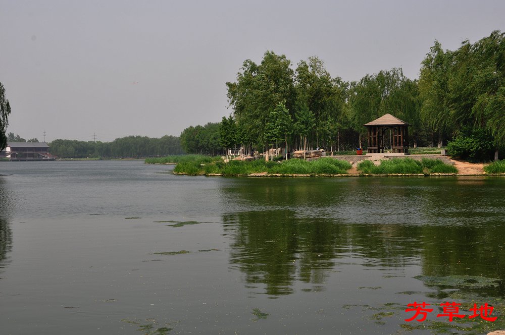 DSC_0198_副本.jpg
