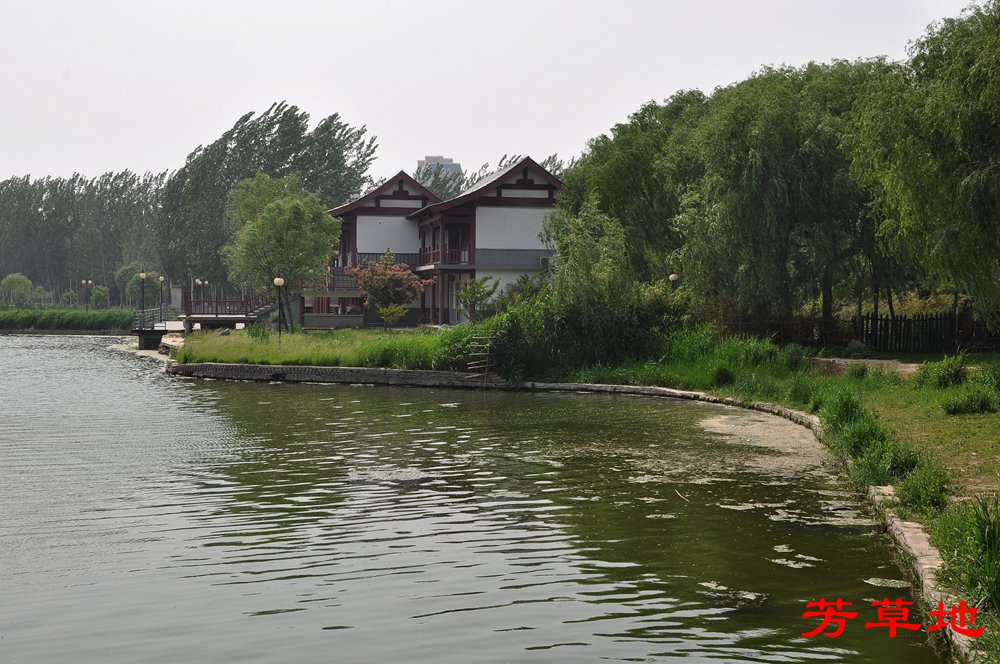 DSC_0210_副本.jpg
