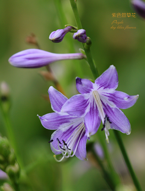 IMG_4844ejpg_副本.jpg