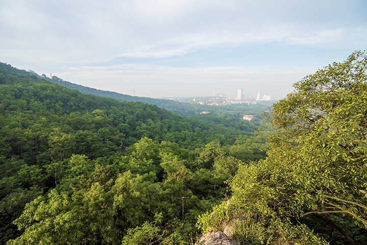 榉林山观景