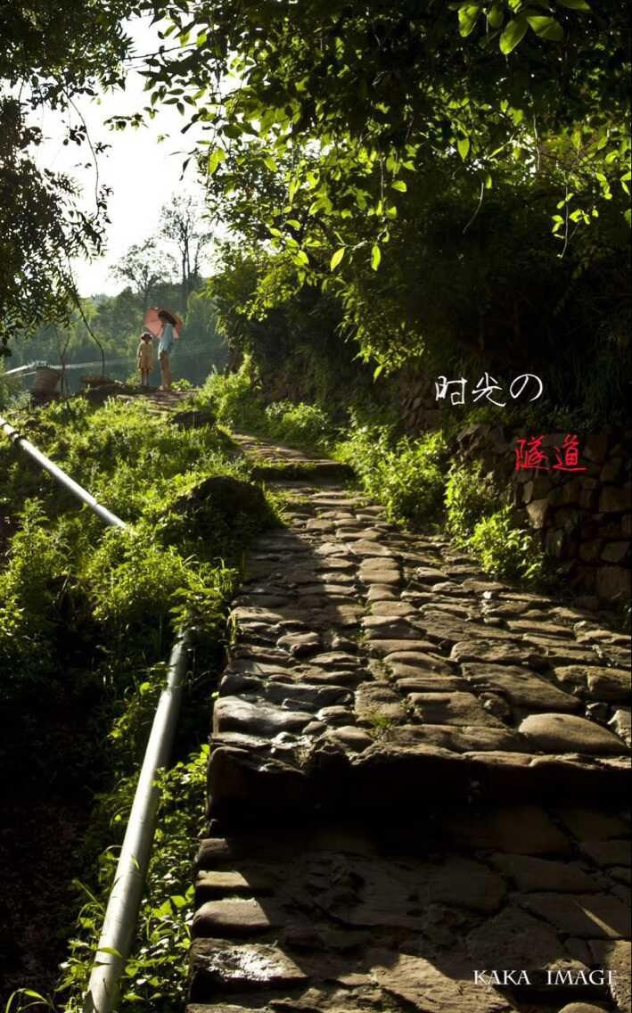 QQ图片20150622134444.jpg