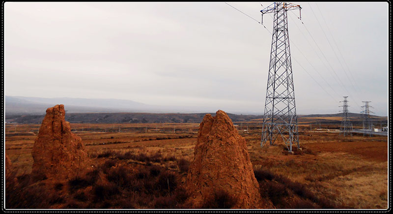 DSCN4587.JPG