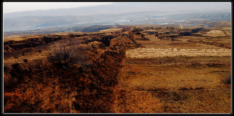 DSCN4610.JPG