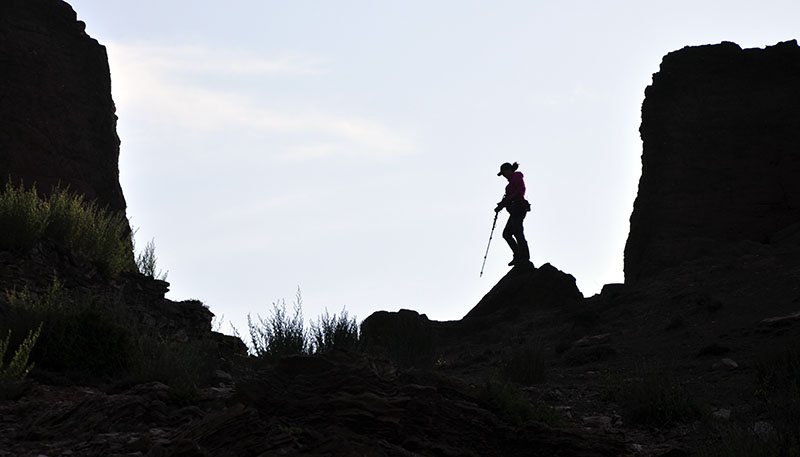 _DSC0872.JPG