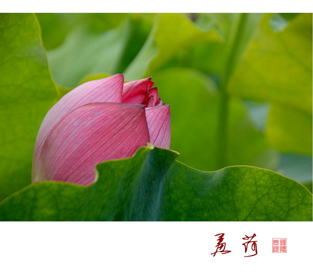 DSC_4366_副本.jpg