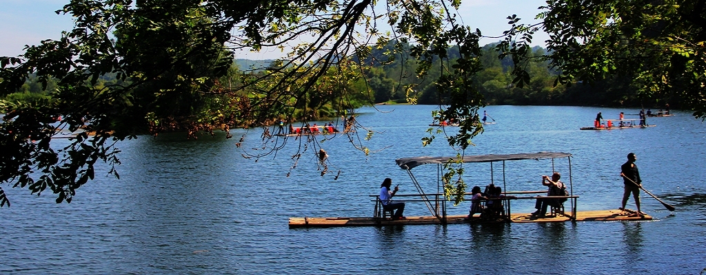 045_conew1.jpg