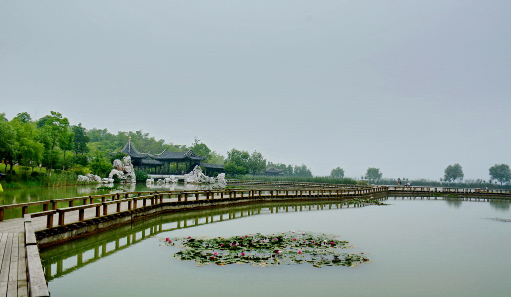 DSC_4177.JPG