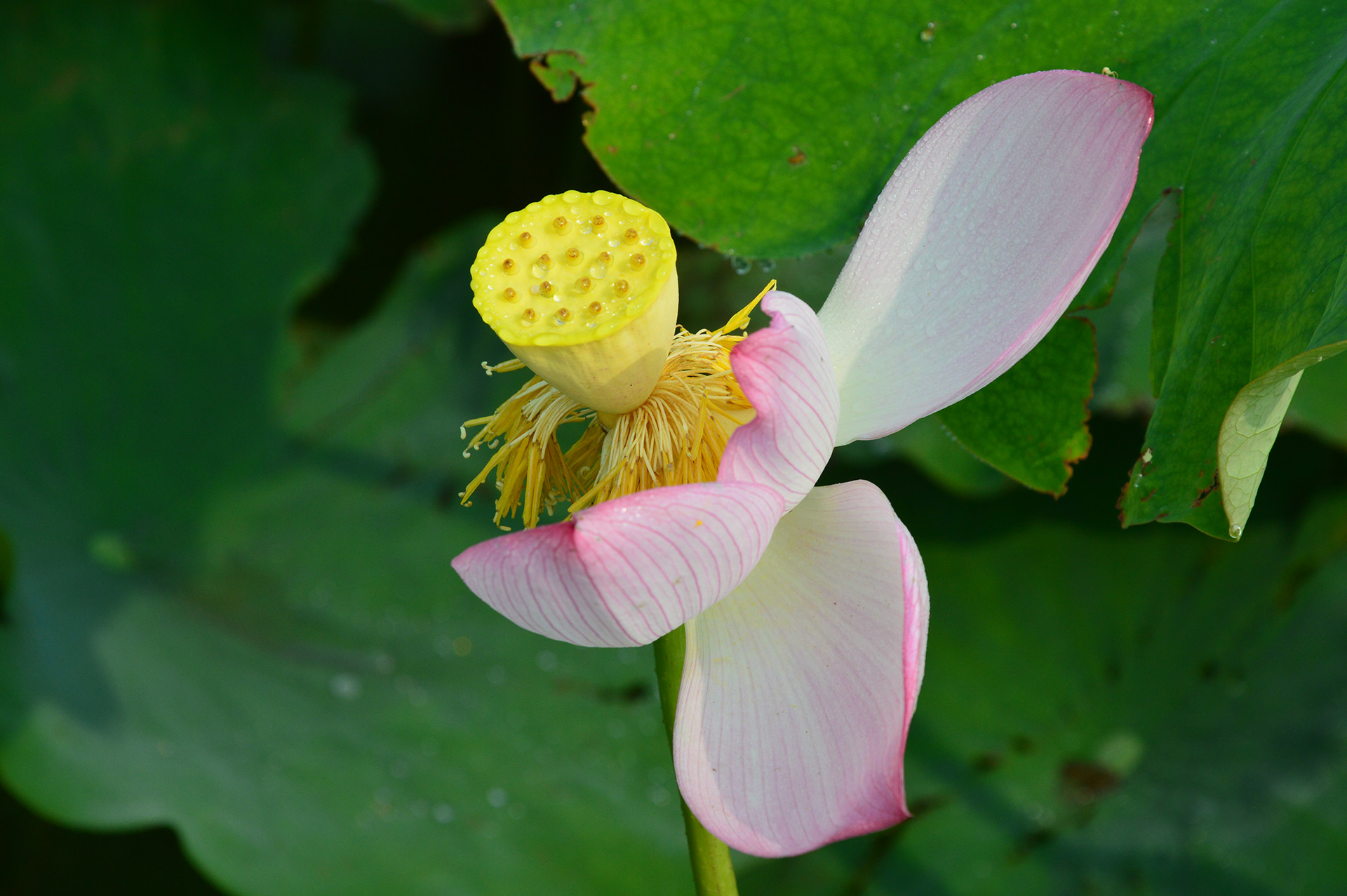 DSC_0402.jpg