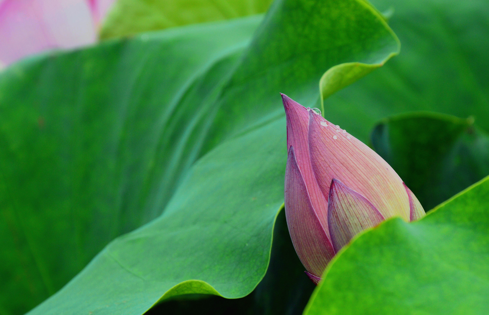 DSC_0187.JPG