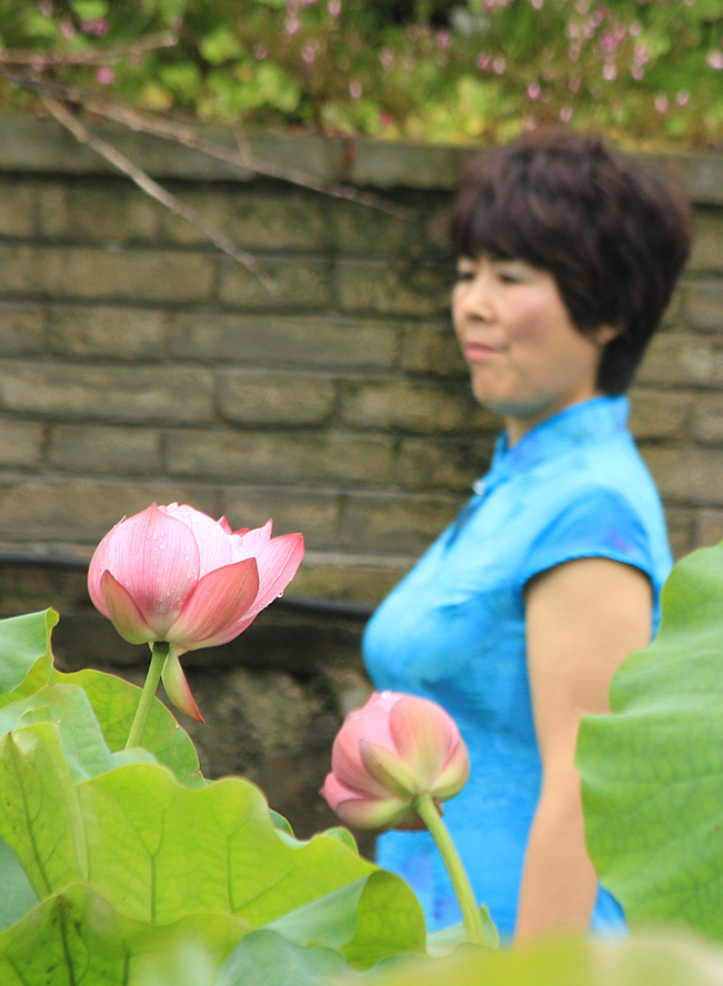 青莲苑旗袍表演艺术 (8).JPG