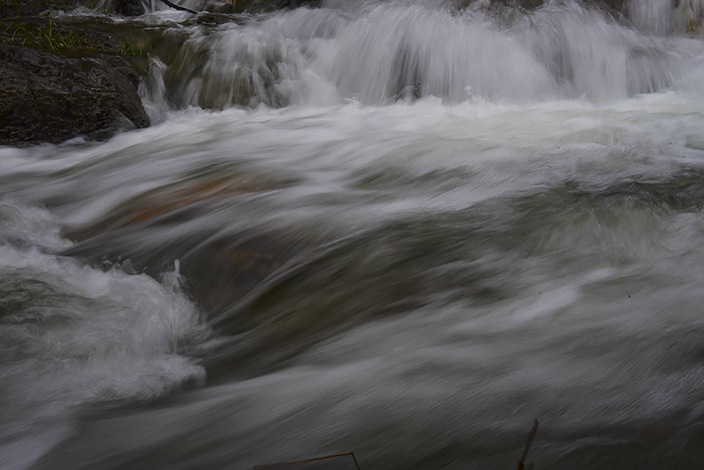 DSC_7184.jpg