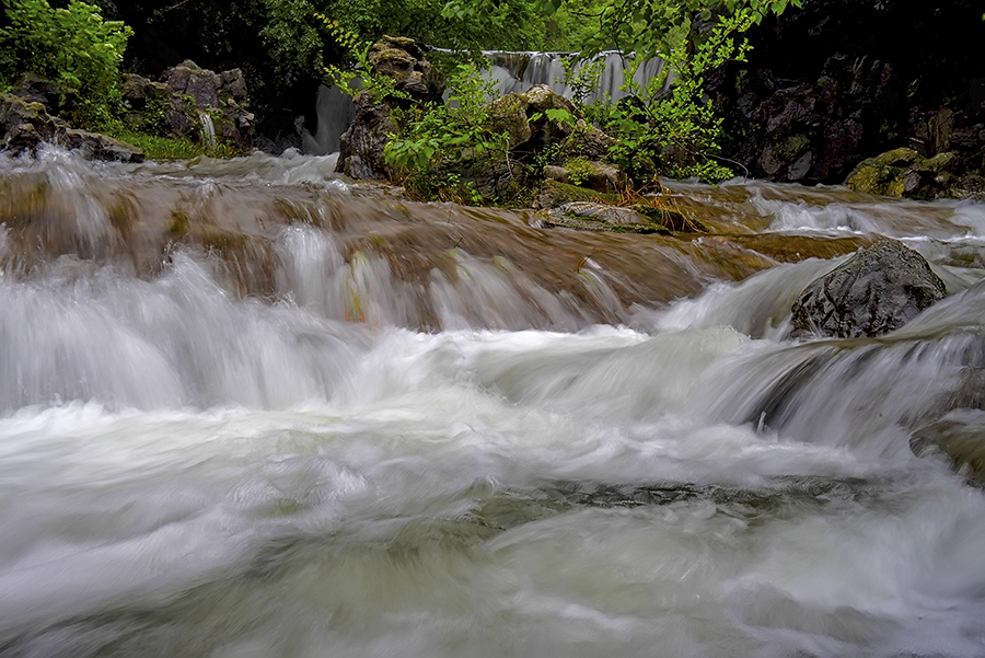 DSC_7185.jpg
