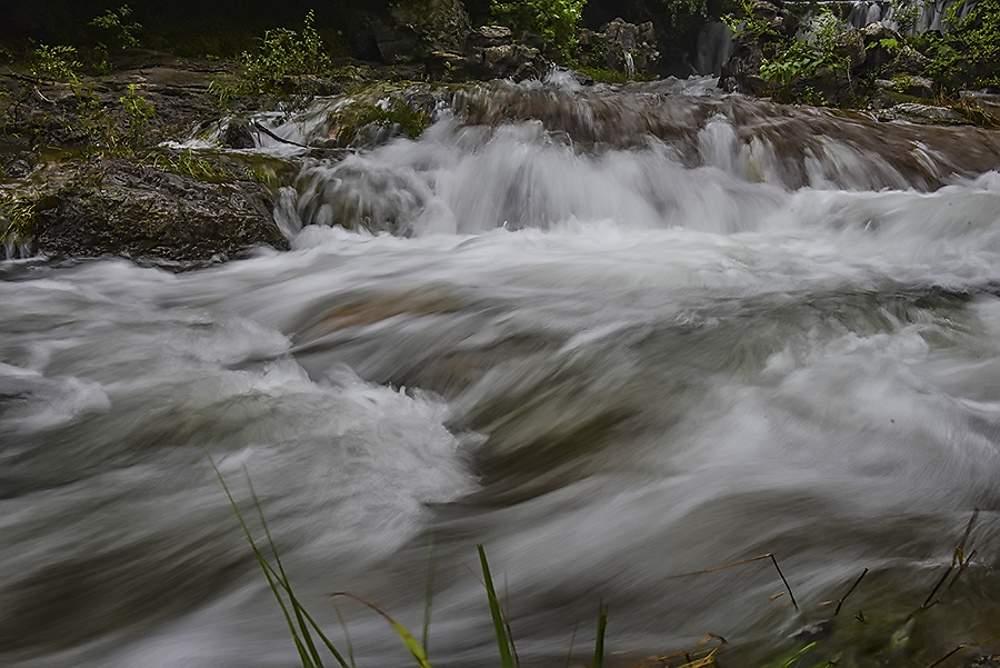 DSC_7190.jpg