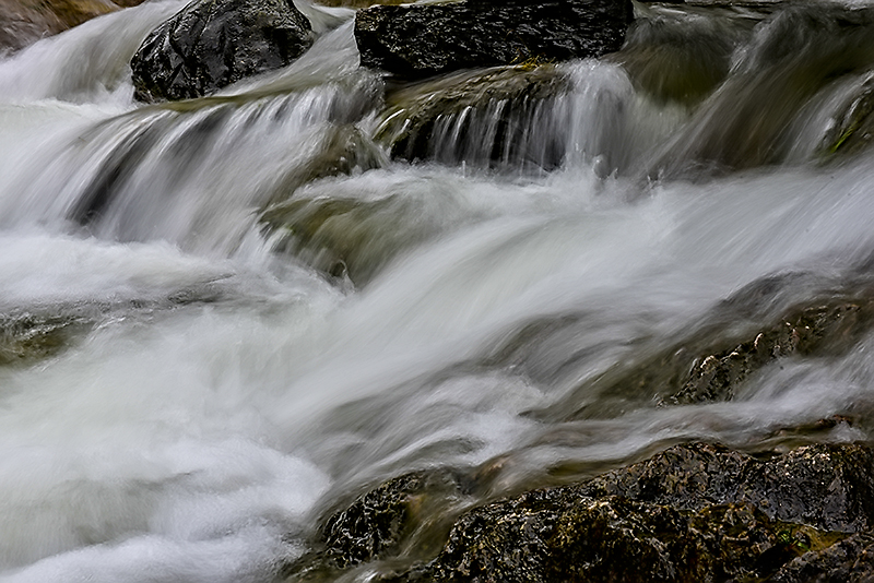 DSC_7194.jpg