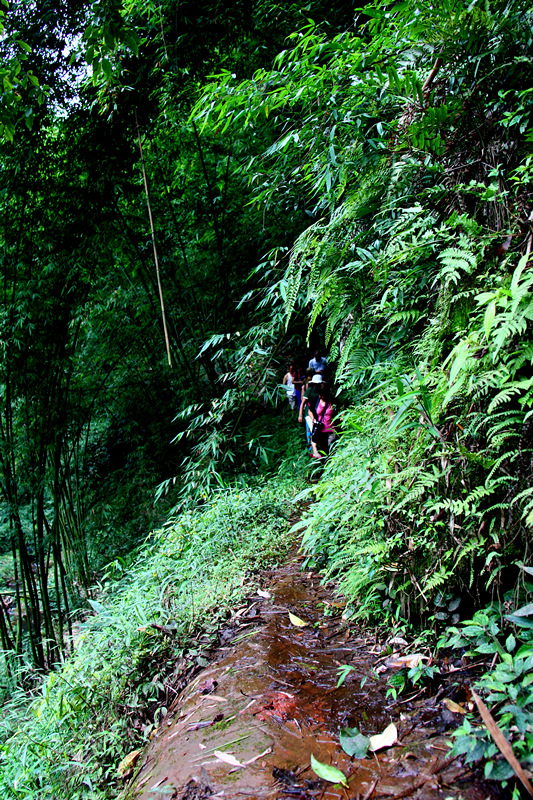 IMG_0283-2_副本.jpg