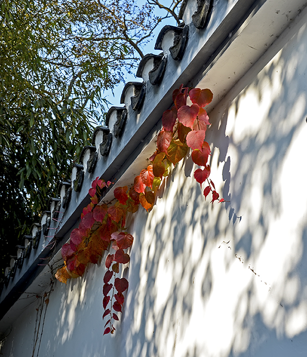 DSC_0588.jpg