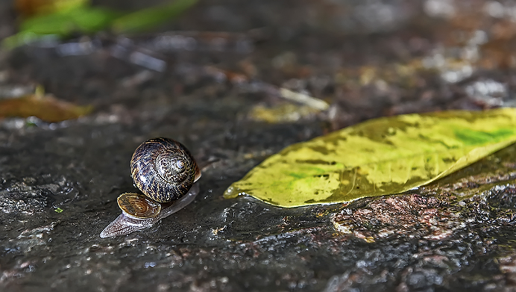 DSC_7240.jpg