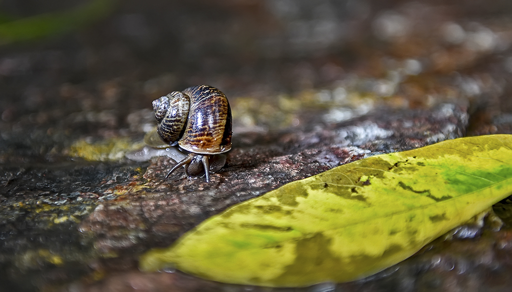DSC_7250.jpg