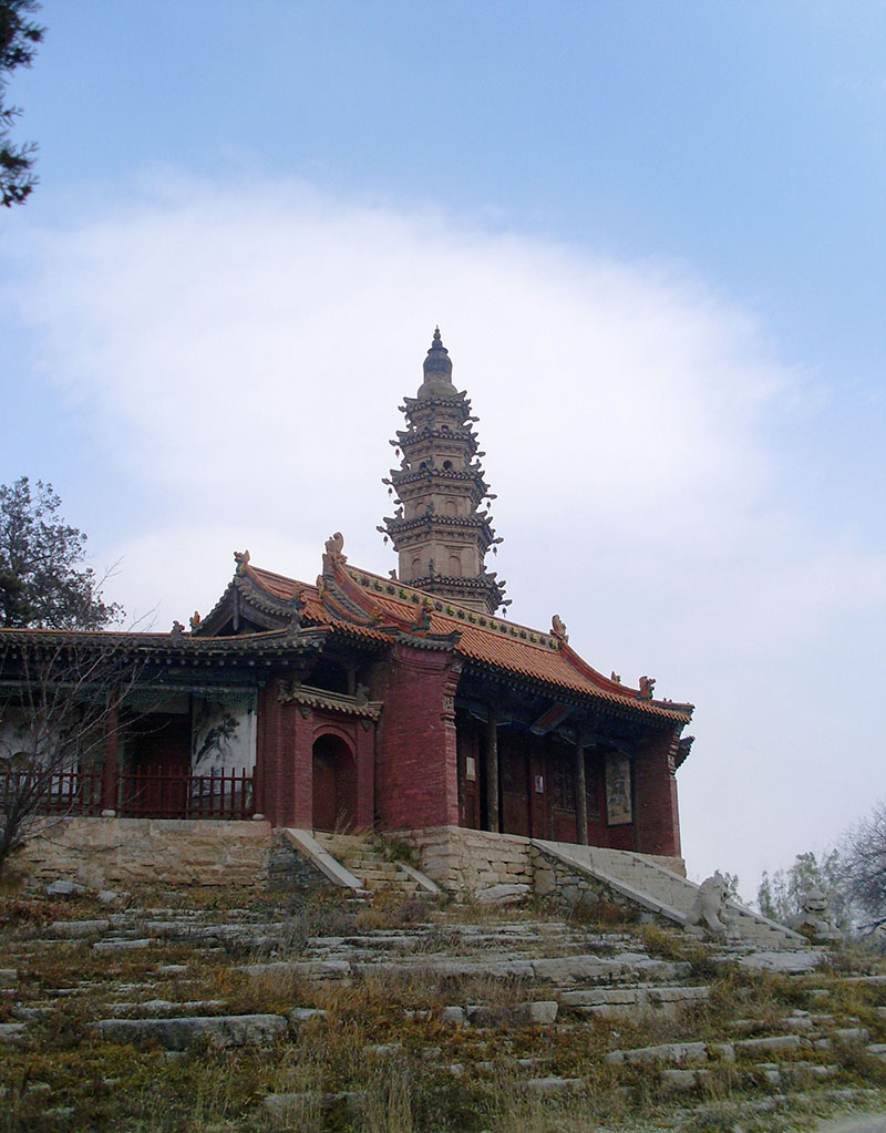 SL378572.JPG