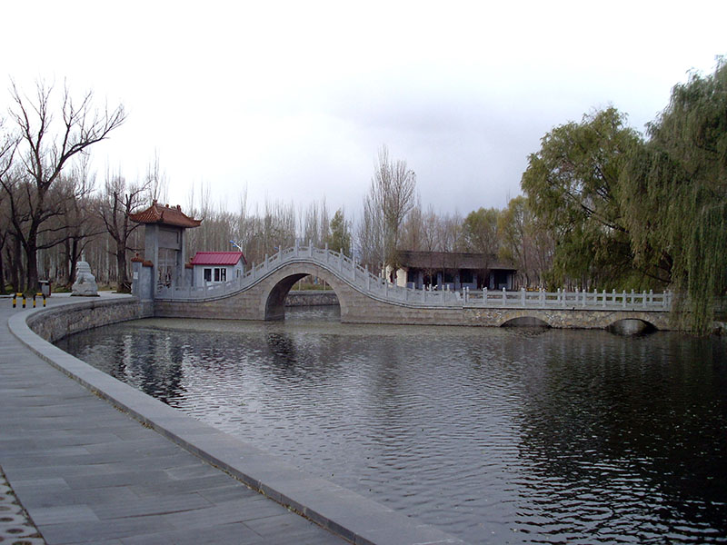 SL378582.JPG