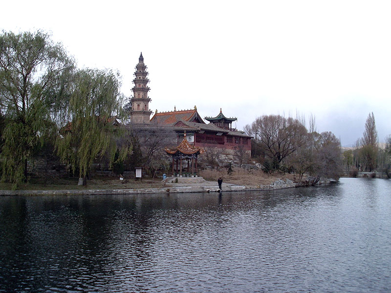 SL378583.JPG