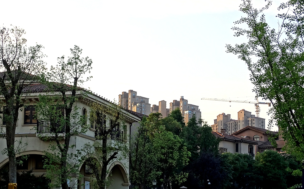 DSC08683_副本.jpg