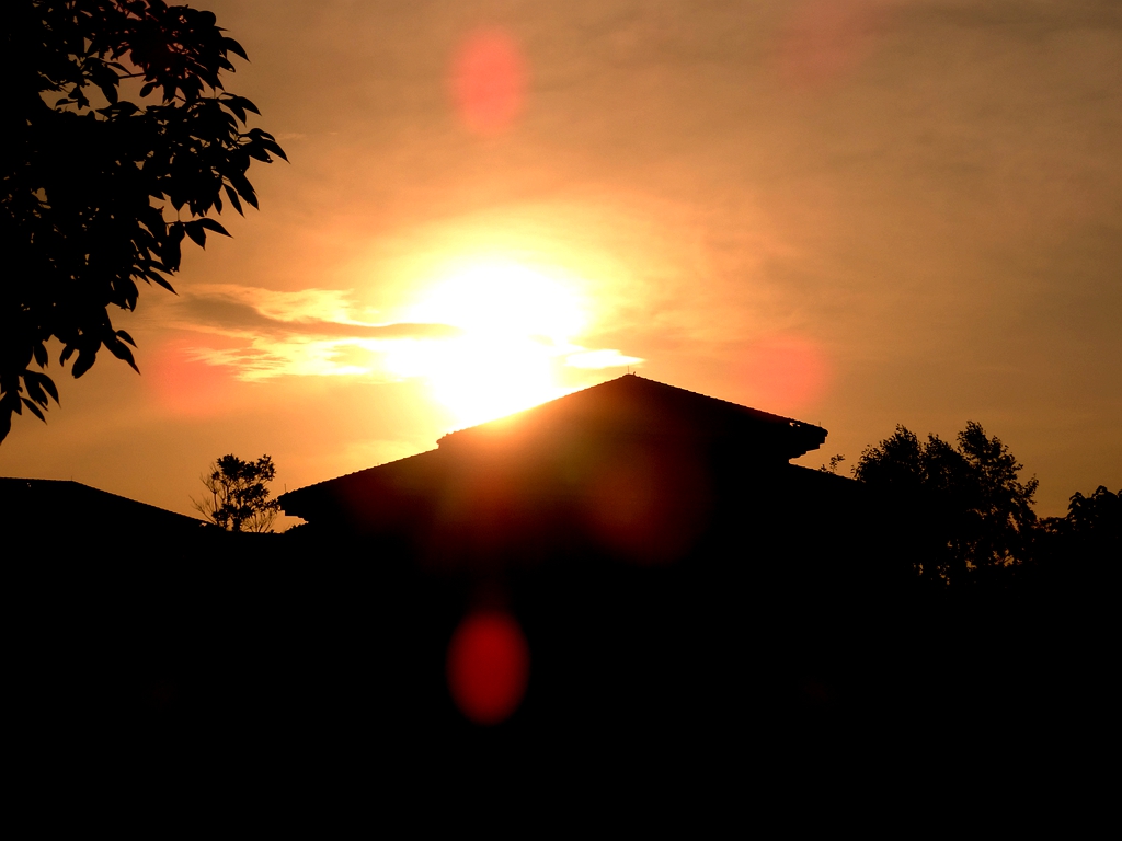 DSC08685_副本.jpg