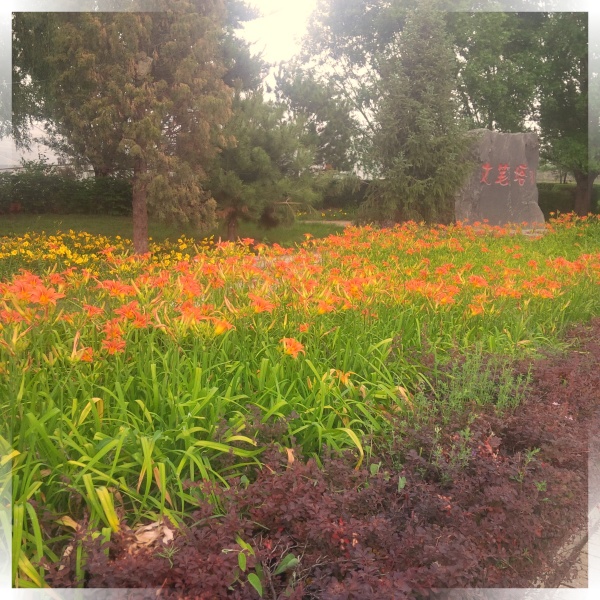 20150630203008.jpg