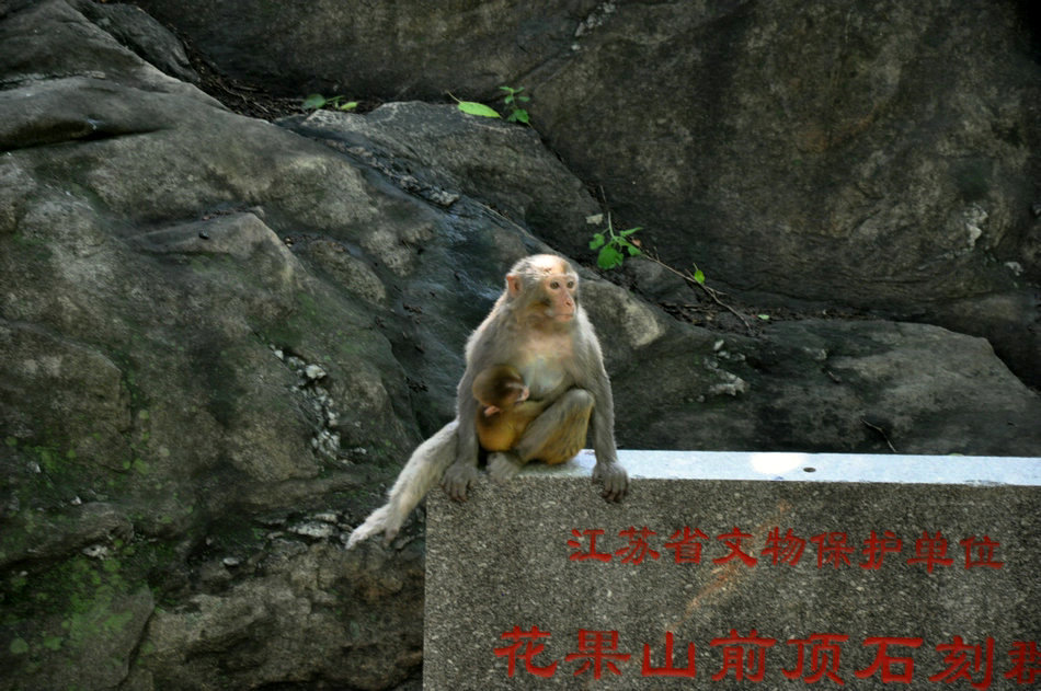 青岛、日照起哦、连云港 118_1.jpg