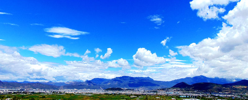 DSC01987_副本.jpg