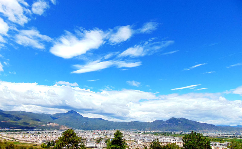 DSC01986_副本.jpg