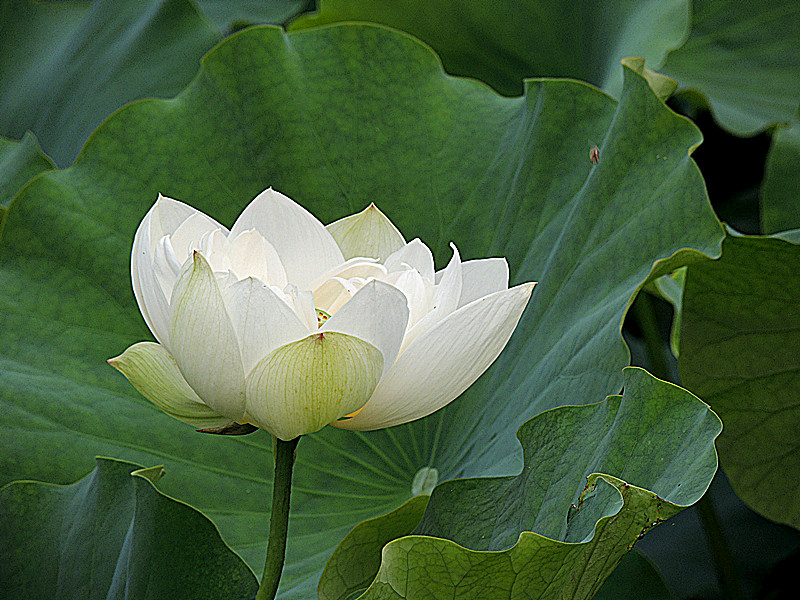 DSCN3347_副本.jpg