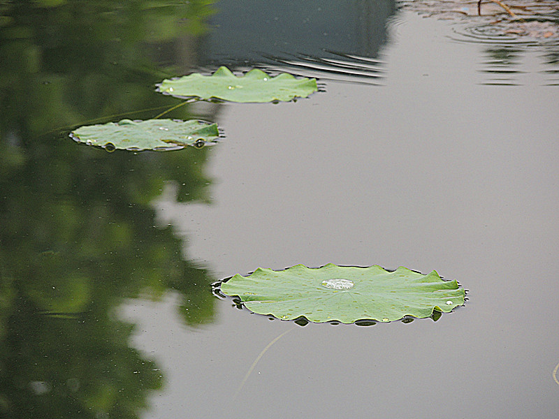 DSCN3409_副本.jpg