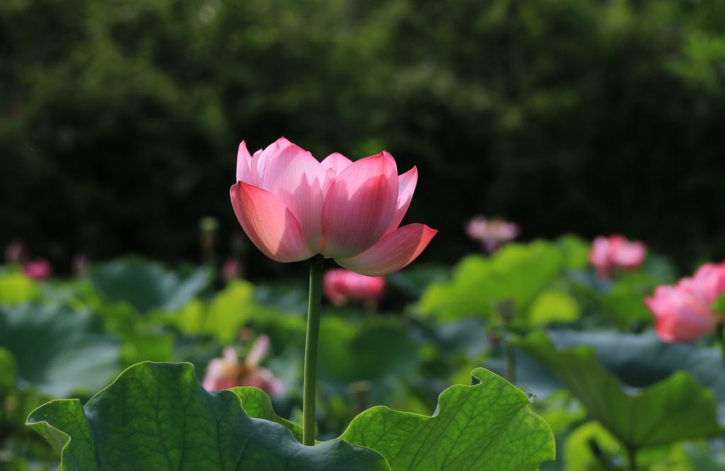 IMG_6187_副本.jpg