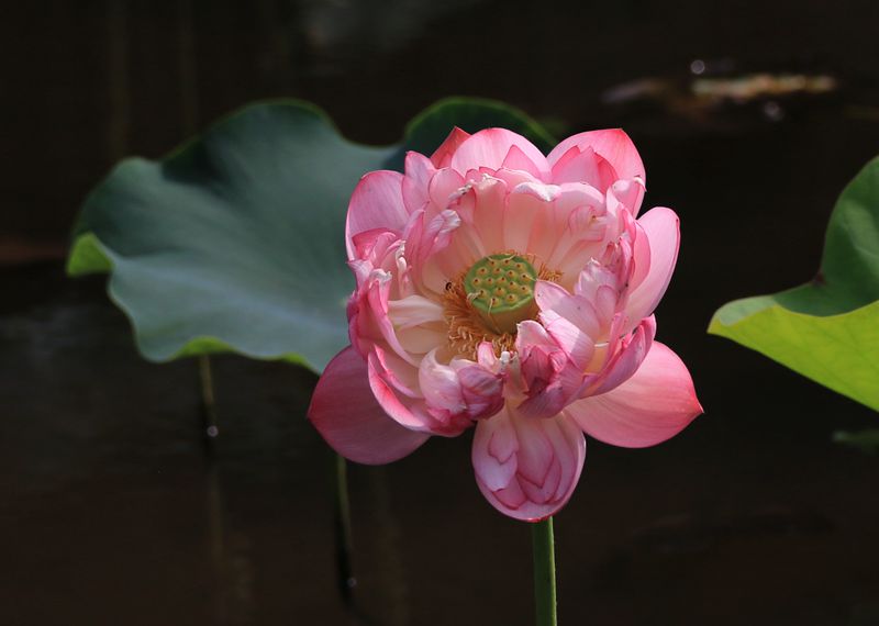 IMG_6196_副本.jpg