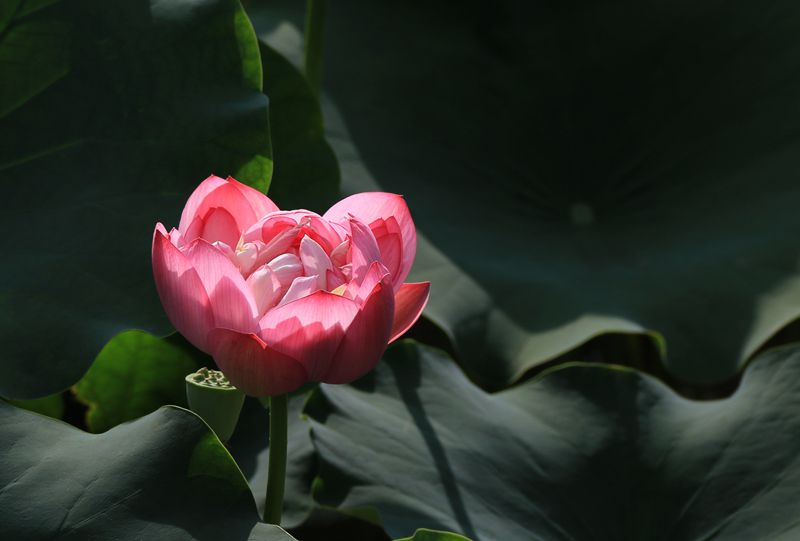 IMG_6213_副本.jpg