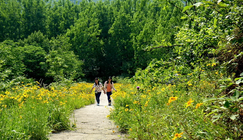 DSC_0071.JPG