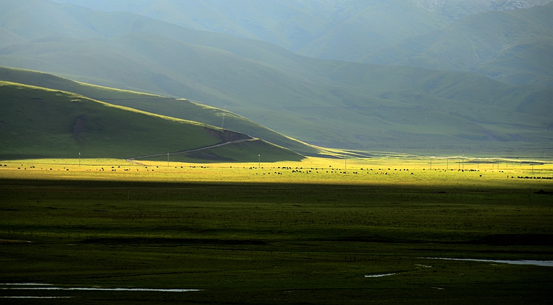 DSC_5860_副本.jpg