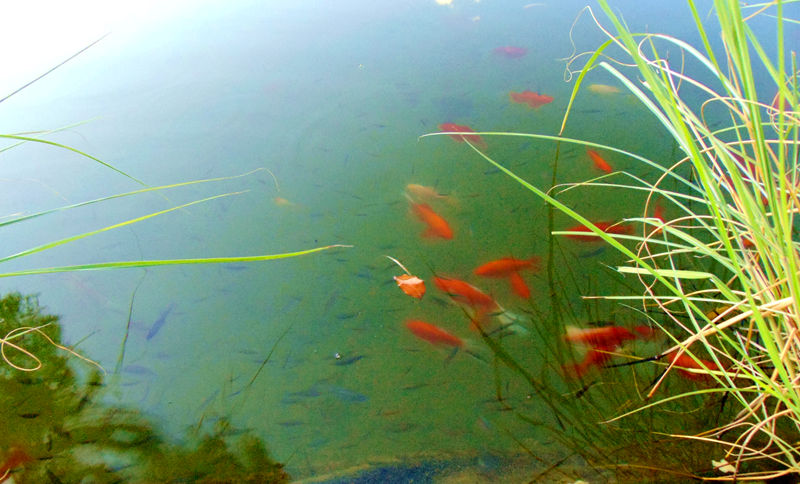 DSC01419_副本.jpg