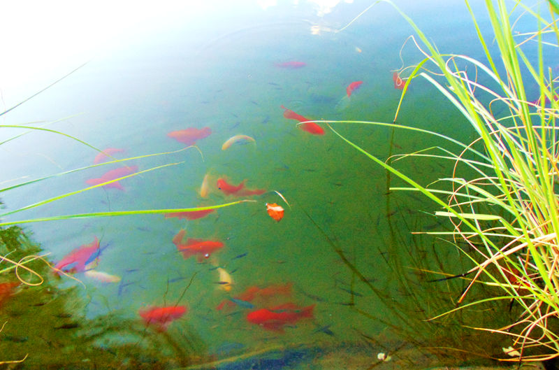DSC01421_副本.jpg