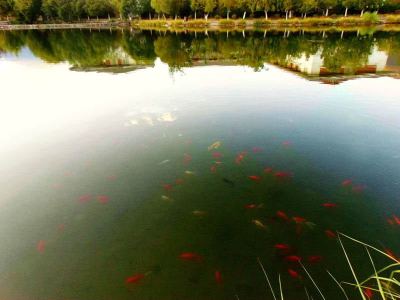 DSC01424_副本.jpg