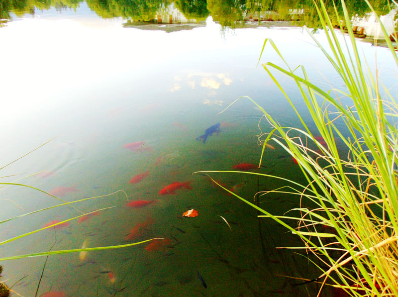DSC01423_副本.jpg