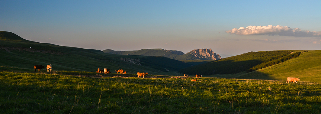 DSC_0127.jpg